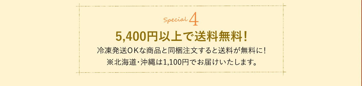 5,400円以上で送料無料!