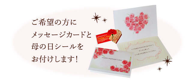 ご希望の方にメッセージカードと母の日シールをお付けします!