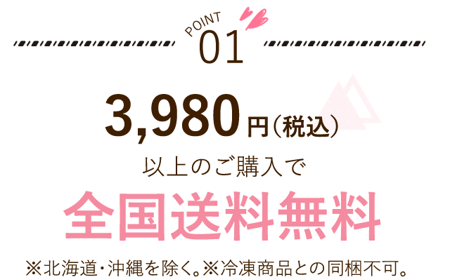 3,980円以上のご購入で全国送料無料