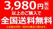 5400円以上お買い上げで送料無料